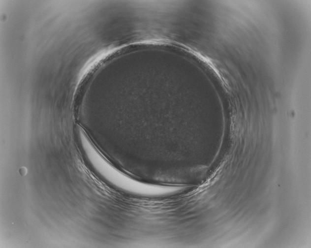 X0000086971319200704231506