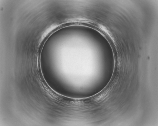 X0000086971320200704231506