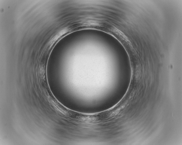 X0000086971321200704231506