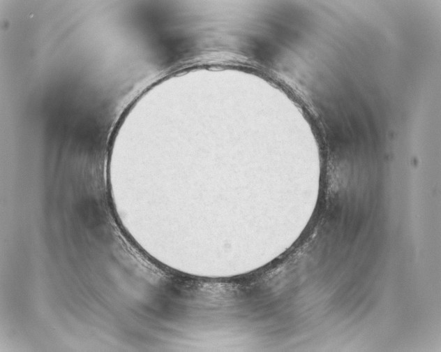 X0000086971322200704231506