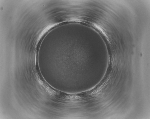 X0000086971323200704231506