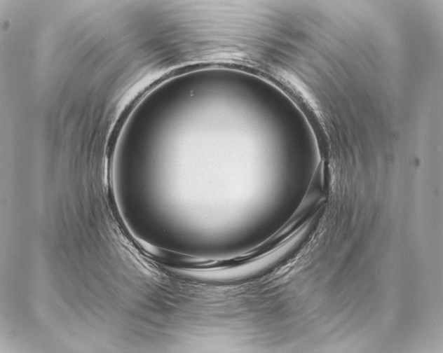 X0000086971324200704231506