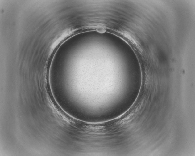 X0000086971325200704231506