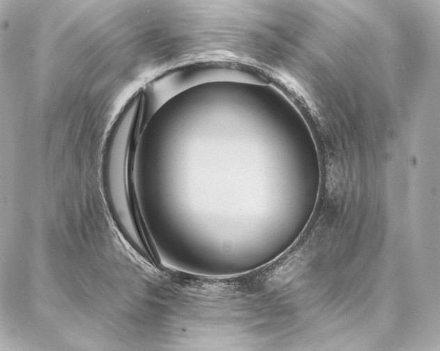 X0000086971326200704231506