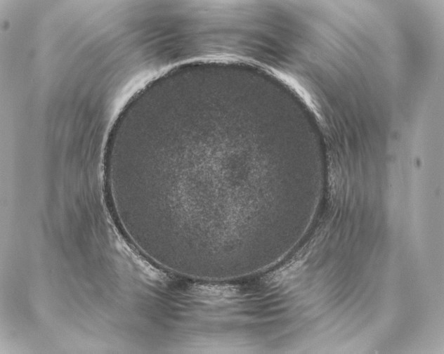 X0000086971327200704231506