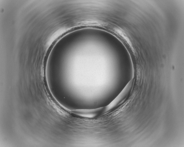 X0000086971328200704231506