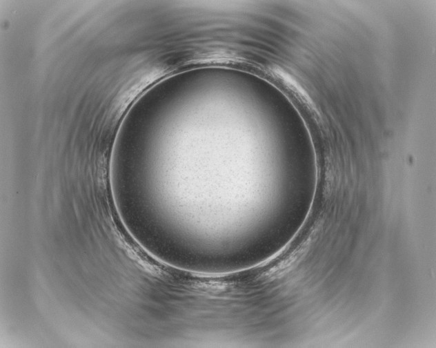 X0000086971329200704231506