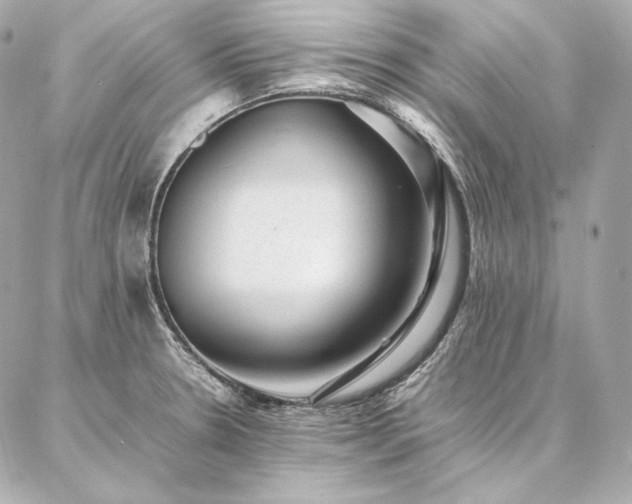 X0000086971330200704231506