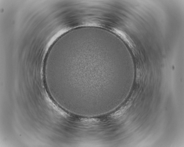 X0000086971331200704231506