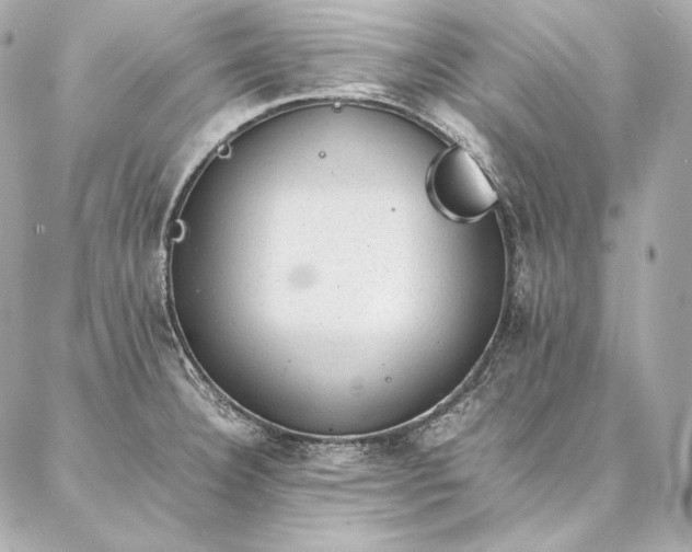 X0000086971332200704231506