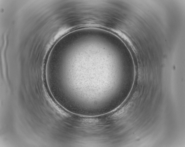 X0000086971333200704231506