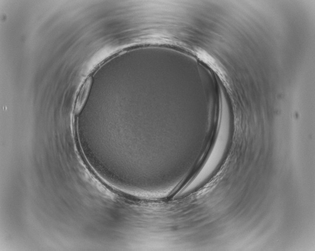 X0000086971334200704231506