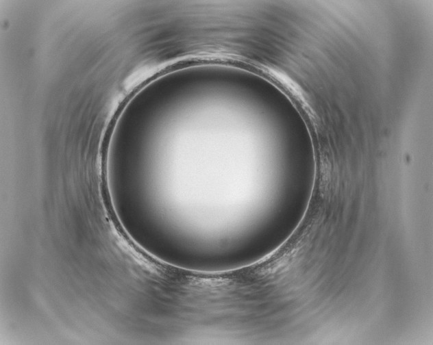 X0000086971335200704231506