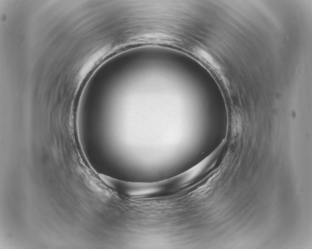 X0000086971336200704231506