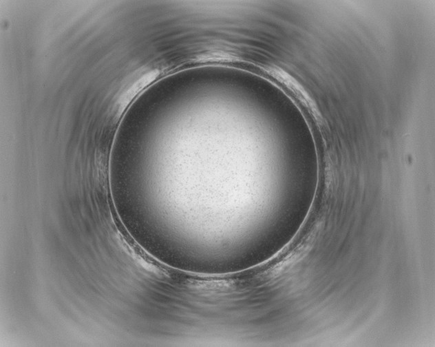 X0000086971337200704231506