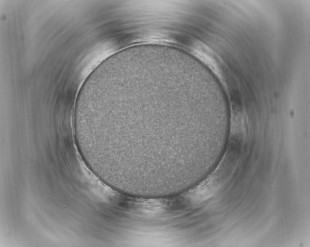 X0000086971338200704231506