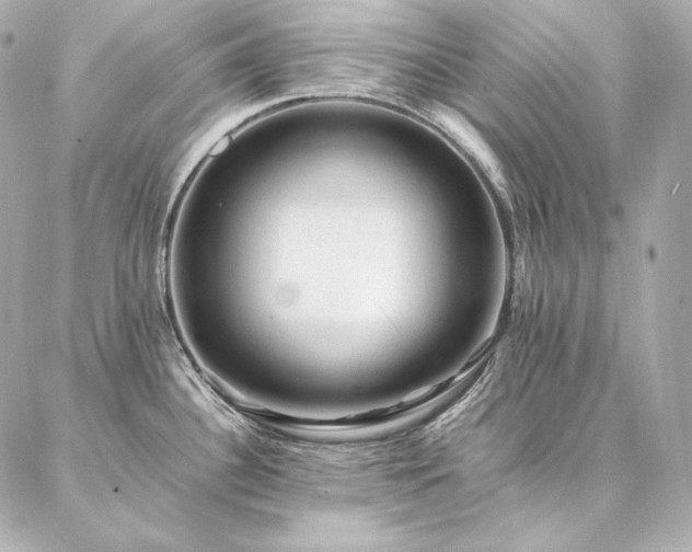 X0000086971340200704231506