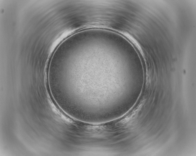 X0000086971341200704231506