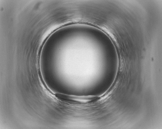 X0000086971342200704231506