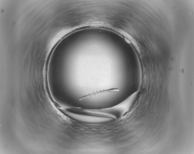 X0000086971343200704231506