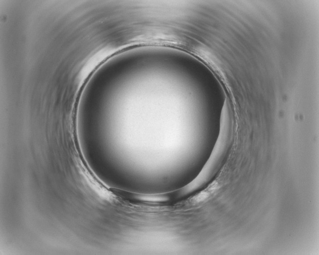 X0000086971344200704231506