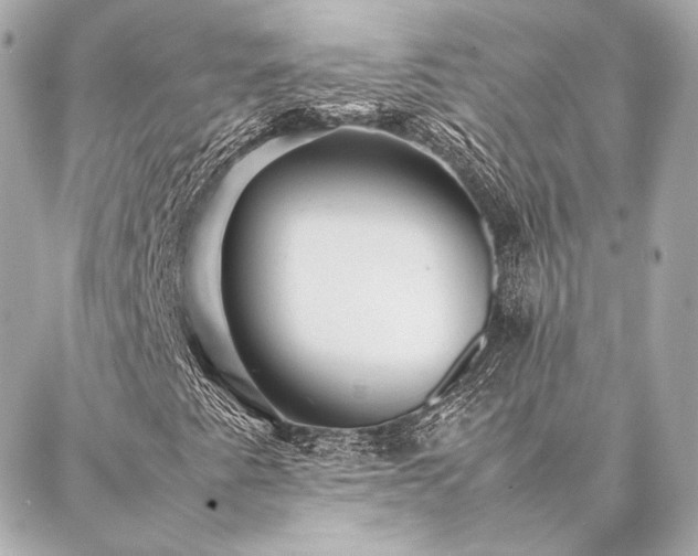 X0000086971345200704231505