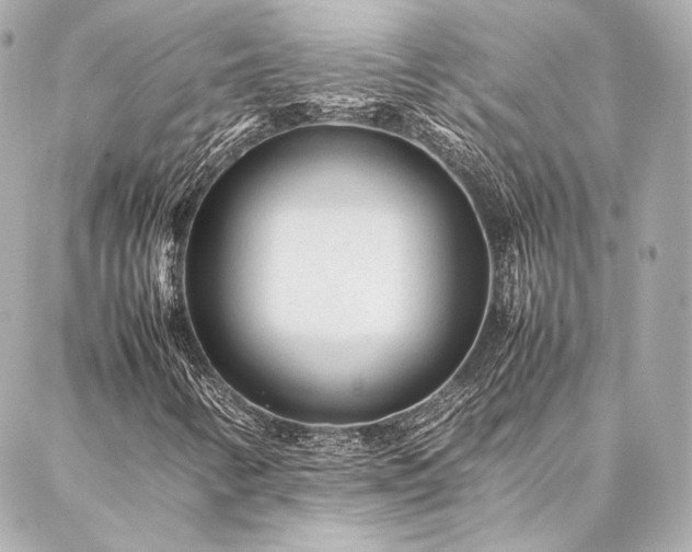 X0000086971346200704231505