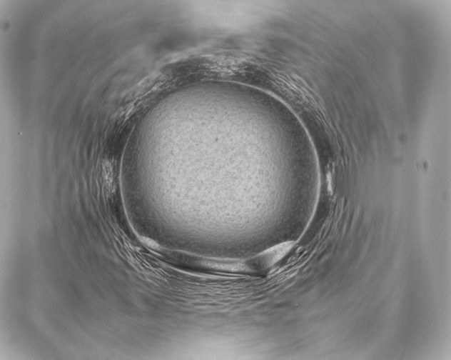 X0000086971347200704231505