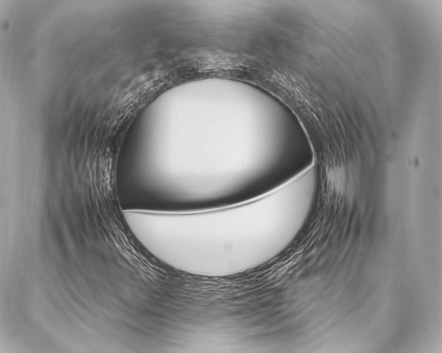 X0000086971348200704231505