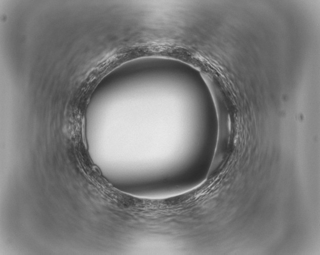 X0000086971349200704231505