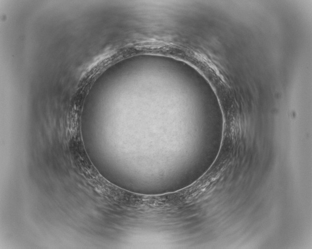 X0000086971350200704231505