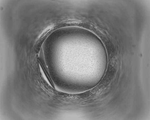 X0000086971351200704231505