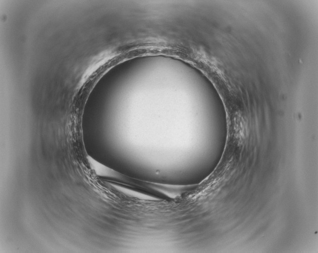 X0000086971352200704231505