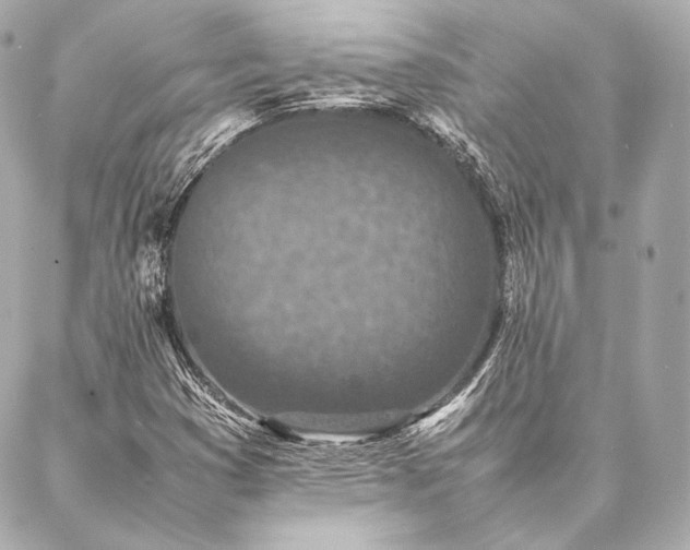 X0000086971353200704231505