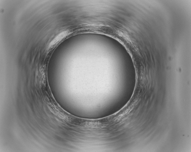 X0000086971354200704231505