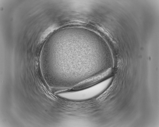 X0000086971355200704231505