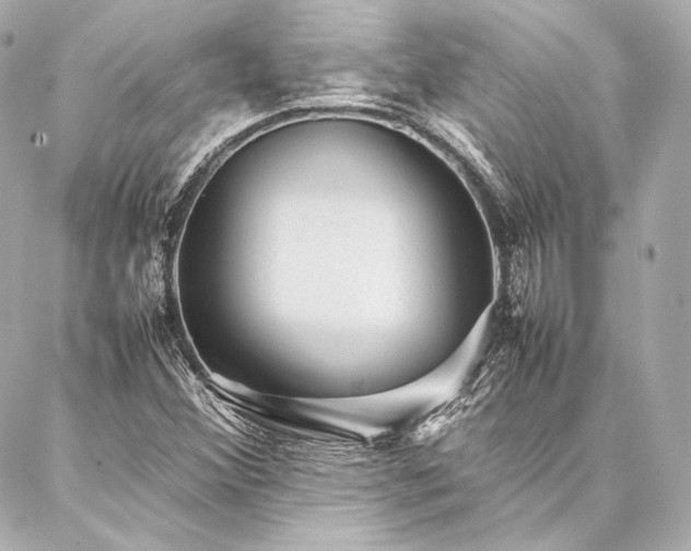 X0000086971356200704231505