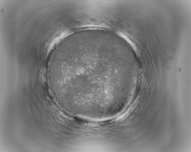 X0000086971357200704231505