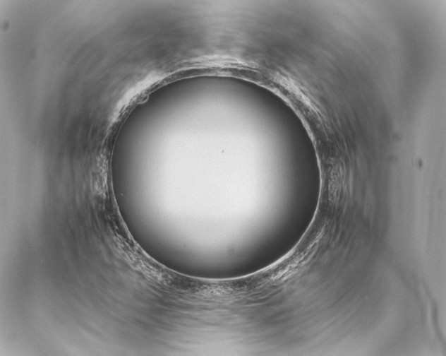 X0000086971358200704231505