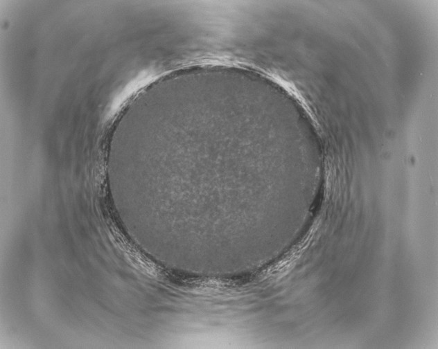 X0000086971359200704231505