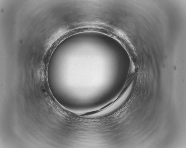 X0000086971360200704231505