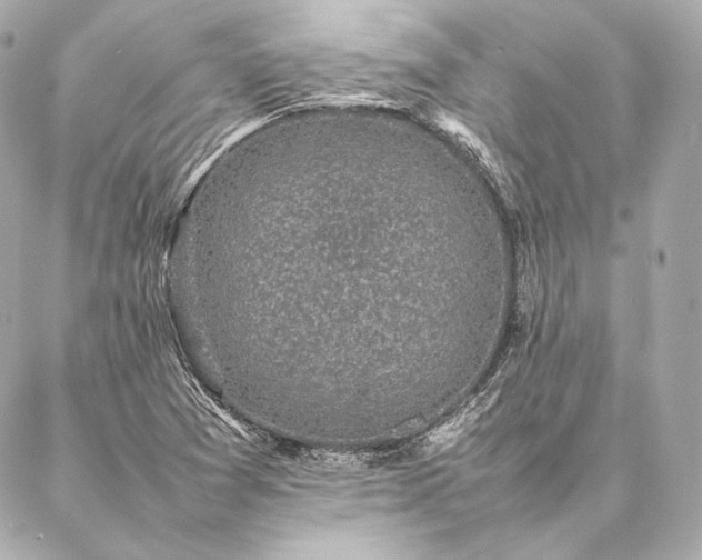 X0000086971361200704231505