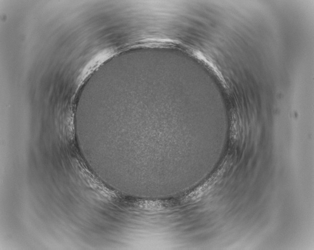 X0000086971362200704231505