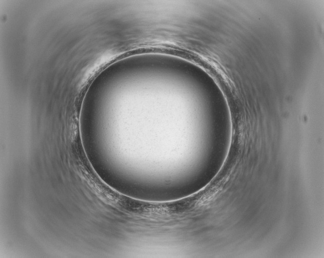 X0000086971363200704231505