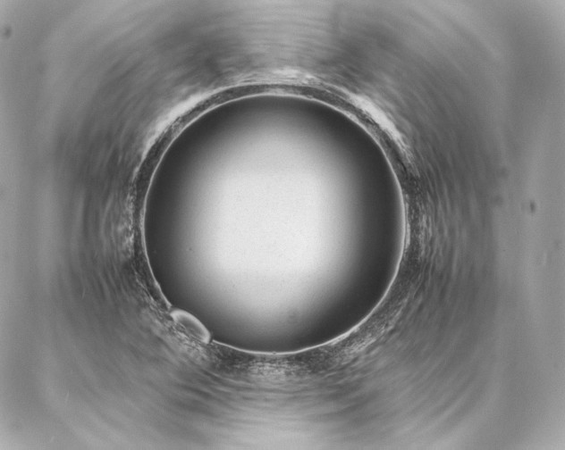 X0000086971364200704231505