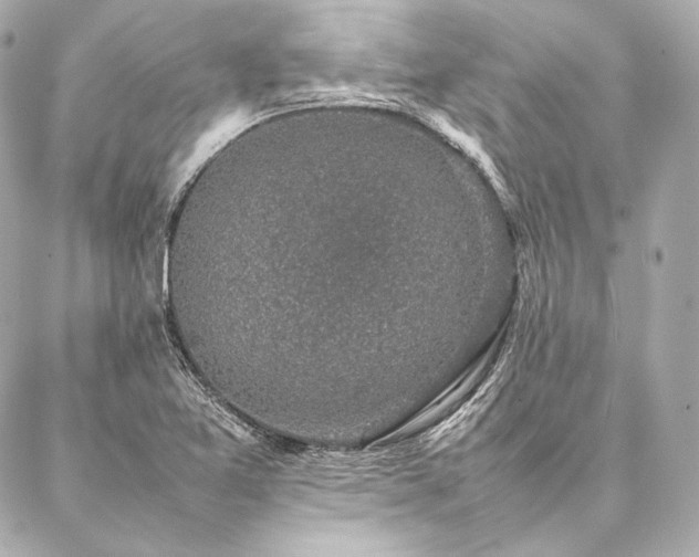 X0000086971365200704231505