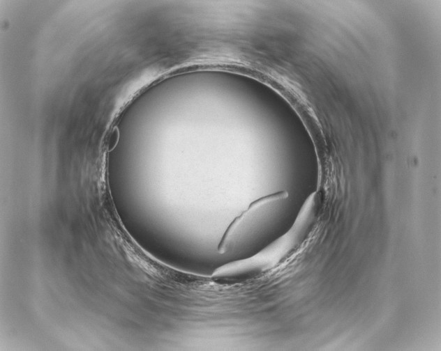 X0000086971366200704231505