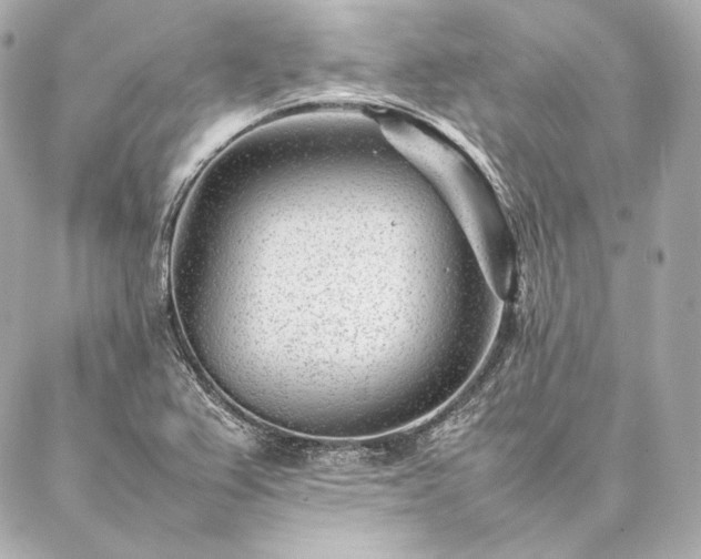 X0000086971367200704231505