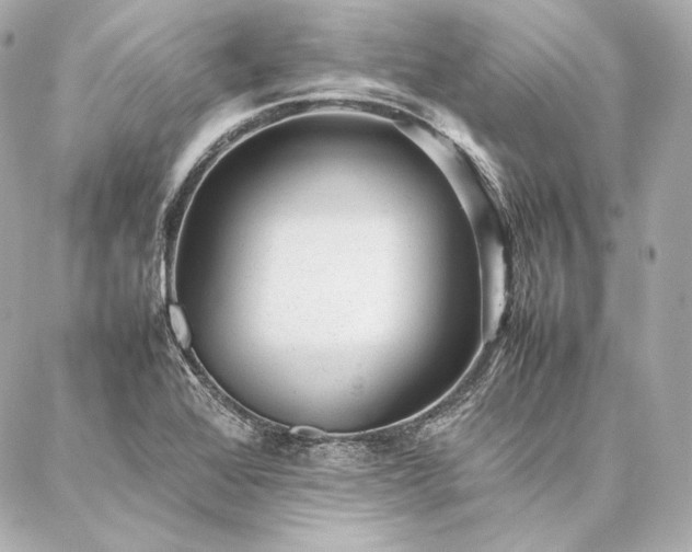 X0000086971368200704231505