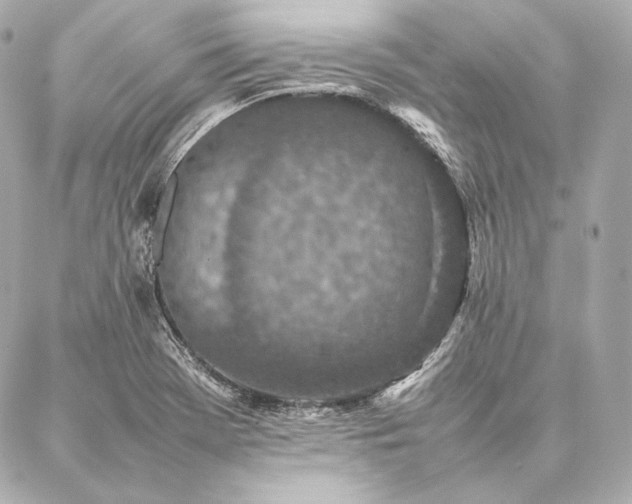 X0000086971369200704231505